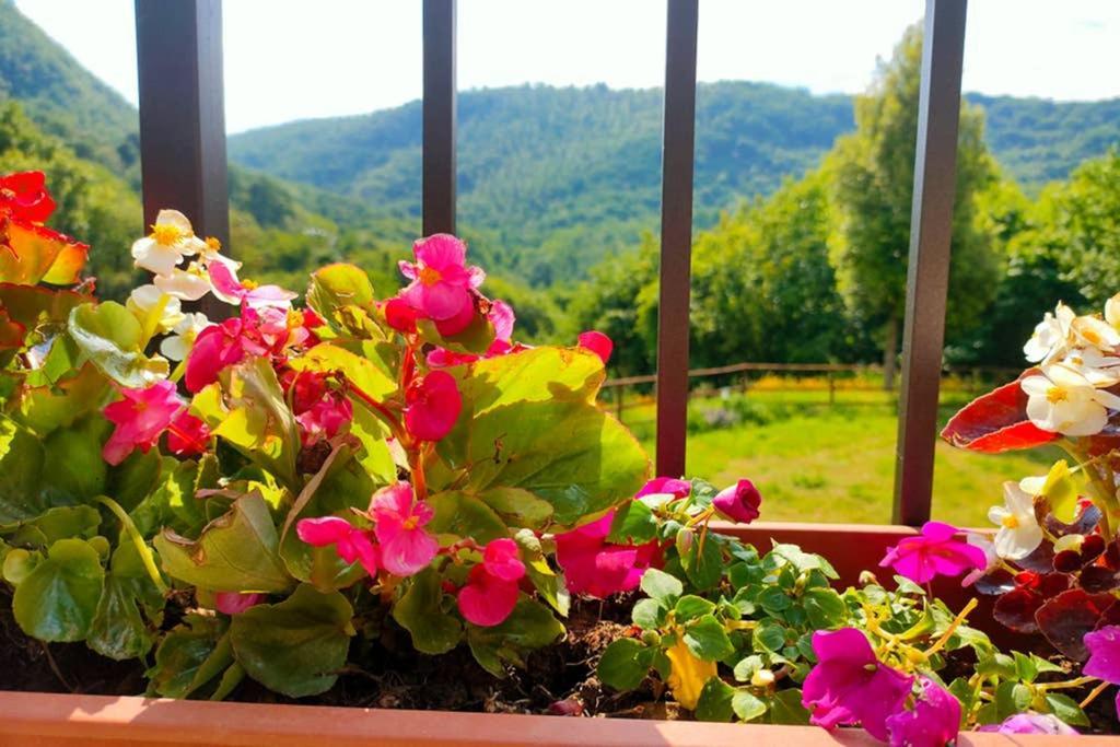 Villa Con Piscina 10 Posti Letto, L'Oliveta Di Rivalto Chianni Eksteriør bilde