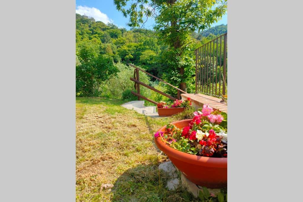Villa Con Piscina 10 Posti Letto, L'Oliveta Di Rivalto Chianni Eksteriør bilde